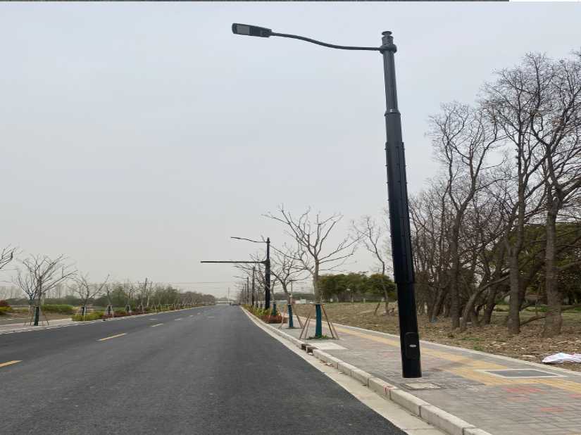 复兴区上海综合杆 太阳能路灯工程